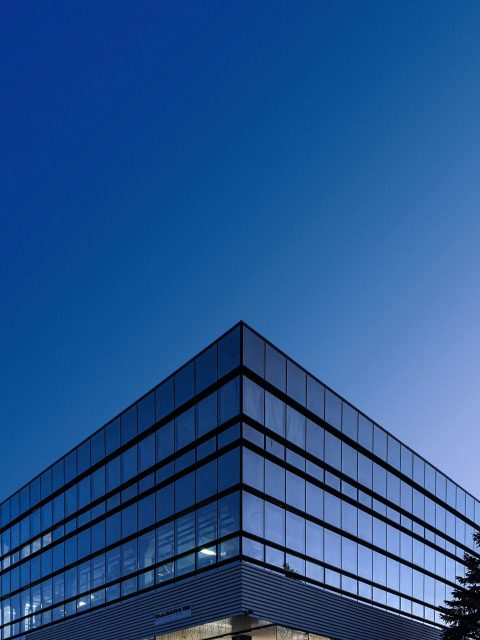 An iPify IP professional at work — focused on a client portfolio